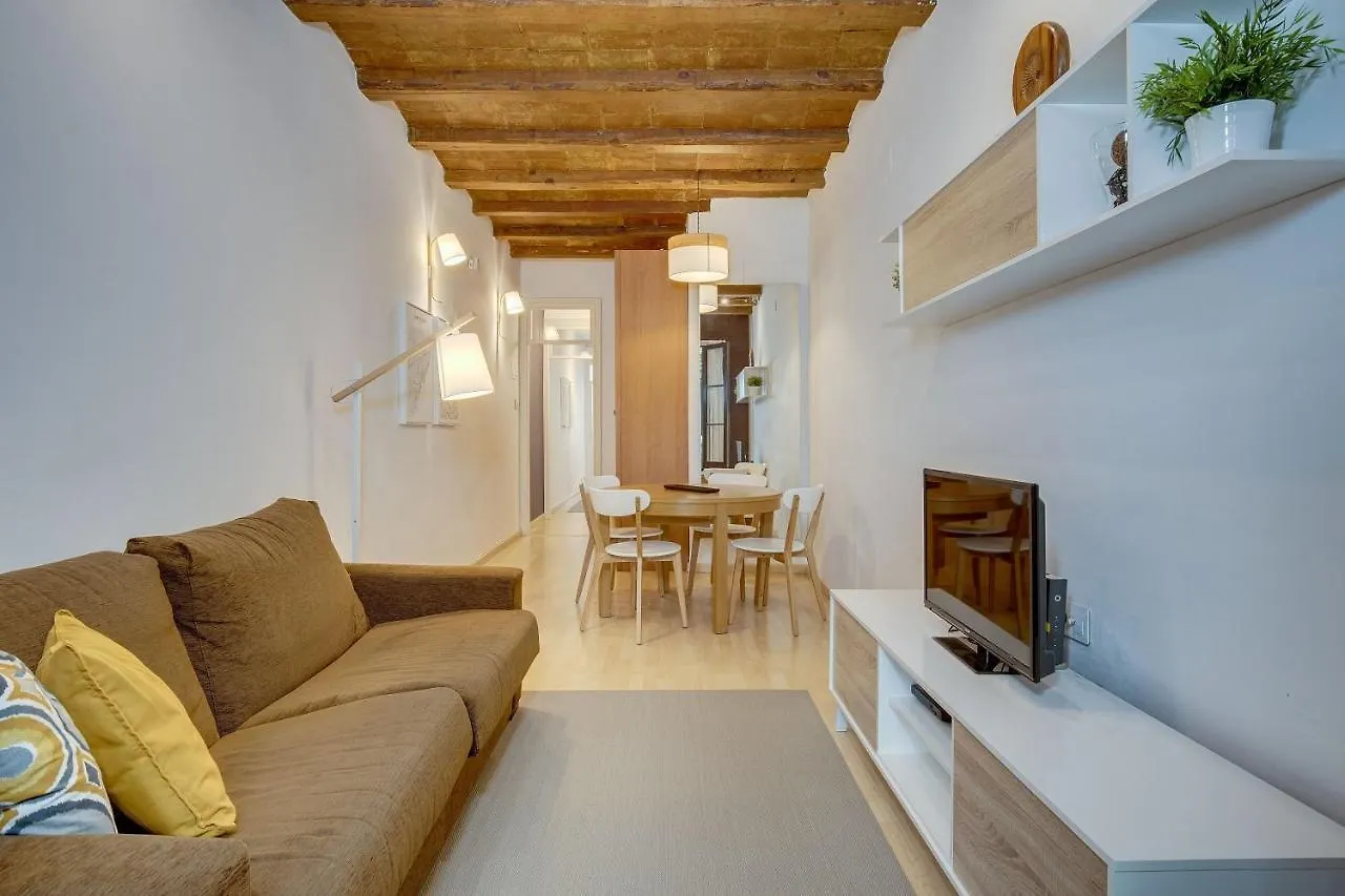 Feelathome Center Apartments Barcelona Spain